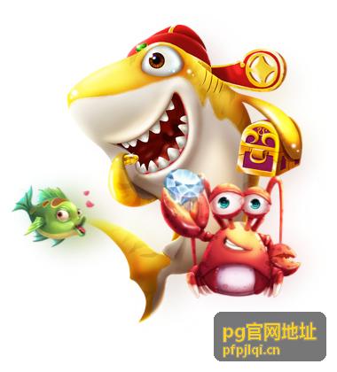 PG官网地址入口确认流程说明