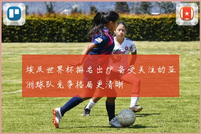 埃及世界杯排名出炉 备受关注的亚洲球队竞争格局更清晰