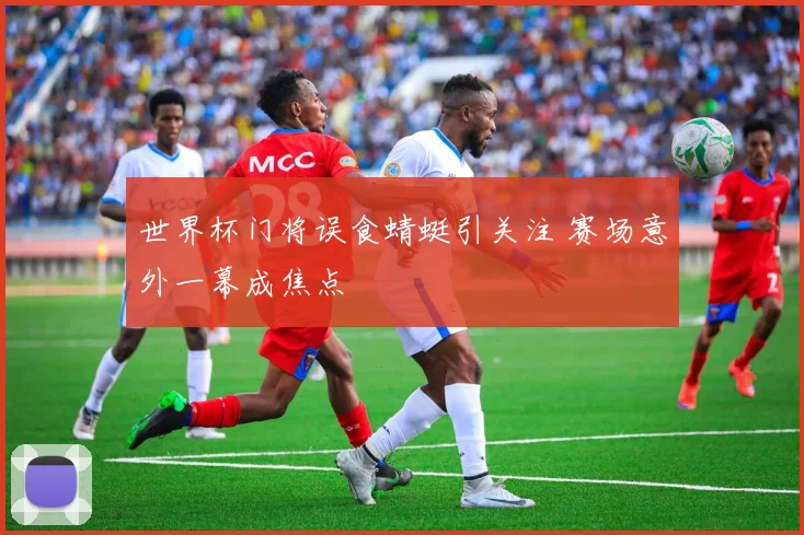 世界杯门将误食蜻蜓引关注 赛场意外一幕成焦点