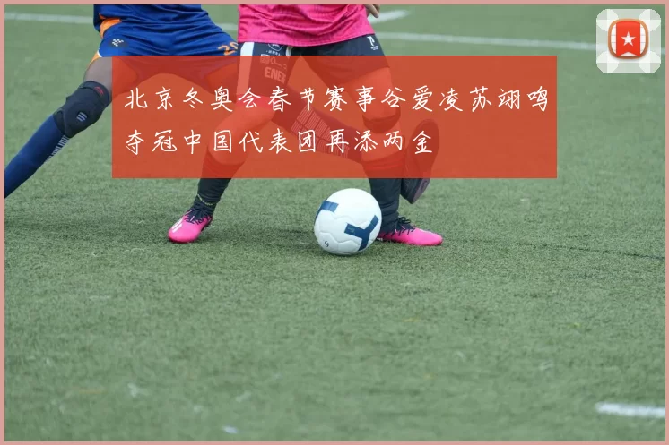 北京冬奥会春节赛事谷爱凌苏翊鸣夺冠中国代表团再添两金