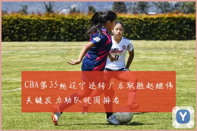 CBA第35轮辽宁逆转广东取胜赵继伟关键发力助队巩固排名