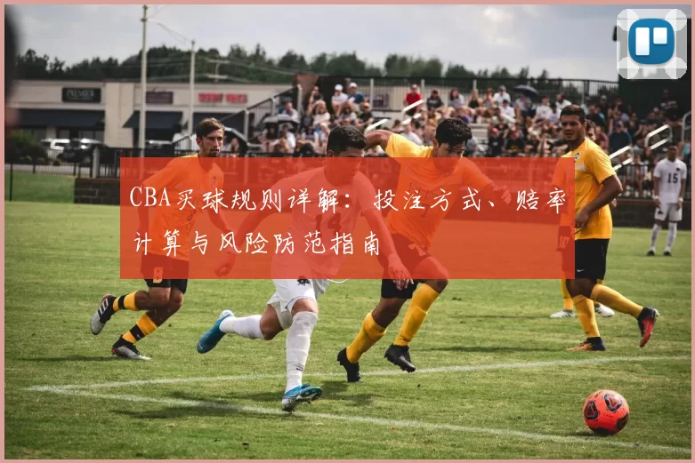 CBA买球规则详解：投注方式、赔率计算与风险防范指南