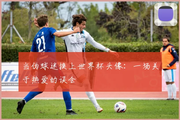 当伪球迷换上世界杯头像：一场关于热爱的误会