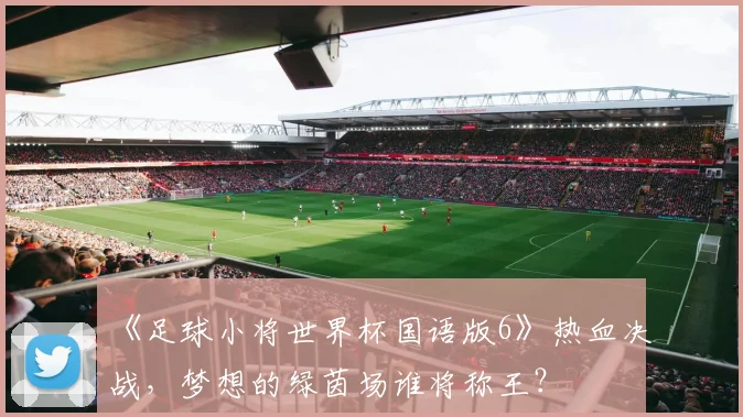 《足球小将世界杯国语版6》热血决战，梦想的绿茵场谁将称王？